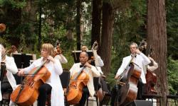 SF Symphony on Stern Grove