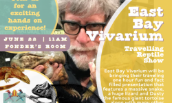 East Bay Vivarium–Traveling Reptile Show, Belvedere Tiburon Library