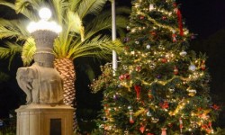 Sausalito Holiday Tree Lighting