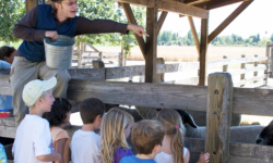 Ardenwood Harvest Festival