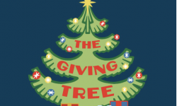 Tree Lighting at Marin Country Mart