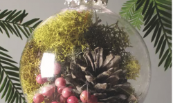 Family Program: Holiday Nature Crafts, UC Botanical Garden at Berkeley