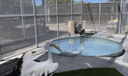 WildCare’s Ambassador Zone, San Rafael