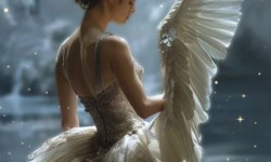 Swan Lake at Palace of Fine Arts Theatre, San Francisco