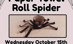  Paper Towel Roll Spider, Civic Center Library