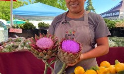 Sausalito Farmers Market
