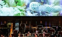 Lunar New Year: Year of the Horse, San Francisco Symphony