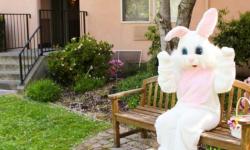 Easter Bunny at Fairmont Sonoma Mission Inn