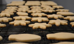 Easter Cookie Decorating at the Claremont Club & Spa, Berkeley