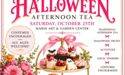 Crown & Crumpet Pink Halloween Tea, Marin Art & Garden Center, Ross