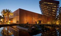 de Young museum