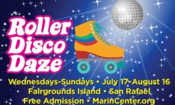 Roller Disco Daze banner
