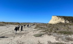 People walking on Drakes Beach