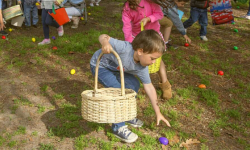  Annual Children’s Easter Egg Hunt – Historic Sonoma Plaza