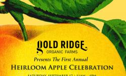 Gold Ridge Heirloom Apple Celebration