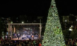 Meritage holiday tree lighting ceremony