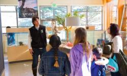 Randall Museum wildlife presentation