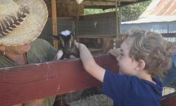 Family Nature Days, Vilda