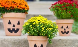 Spooky craft