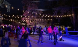 WinterFest skating rink