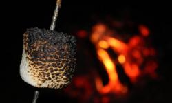 Campfire marshmallow roast