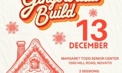 Novato Gingerbread Build 2025