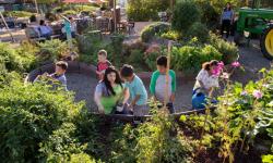 Garden Party Children's Museum of Sonoma County