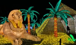 Glowfari Sphinx, palm trees and pyramid lanterns