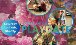 Novato Parents Nursery School Community Playdate