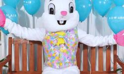 Easter Bunny