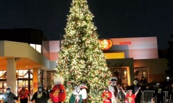 Jelly Belly Factory tree lighting