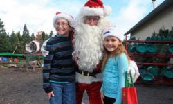 Reindeer Ridge Christmas Tree Farm–Sebastopol