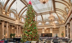 Garden Court Palace Hotel with Christmas Tree