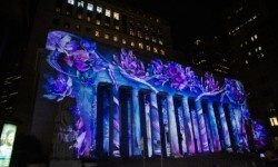 Let's Glow Pacific Stock Exchange