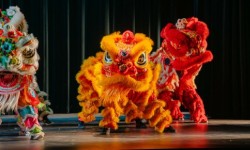 Lion dancers