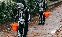 Halloween Costume Swap, Novato 