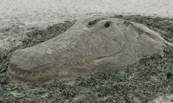 Drake's Beach Annual Sand Sculpture Contest