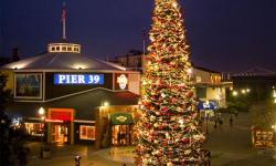 Pier 39 Christmas Tree