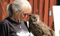 Woman holding great horned owl
