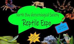 Reptile Expo 2019