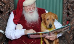 Santa reading to a dog