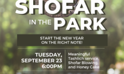 Shofar in the Park, Miwok Park in Novato