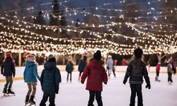 Winter Wonderland at the Marin Art and Garden Center