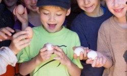 Spring Fling 2026 at Slide Ranch, Muir Beach
