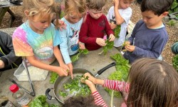 Fall Family Farm Days at Slide Ranch