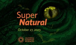 Super Natural Cal Academy San Francisco
