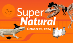 Super Natural graphic with dinosaur and alligator in Halloween costume