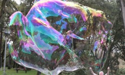 Giant bubble