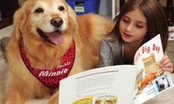 Read to a Dog!, Corte Madera Library