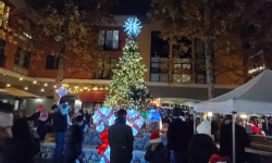 Tree lighting holiday christmas petaluma
